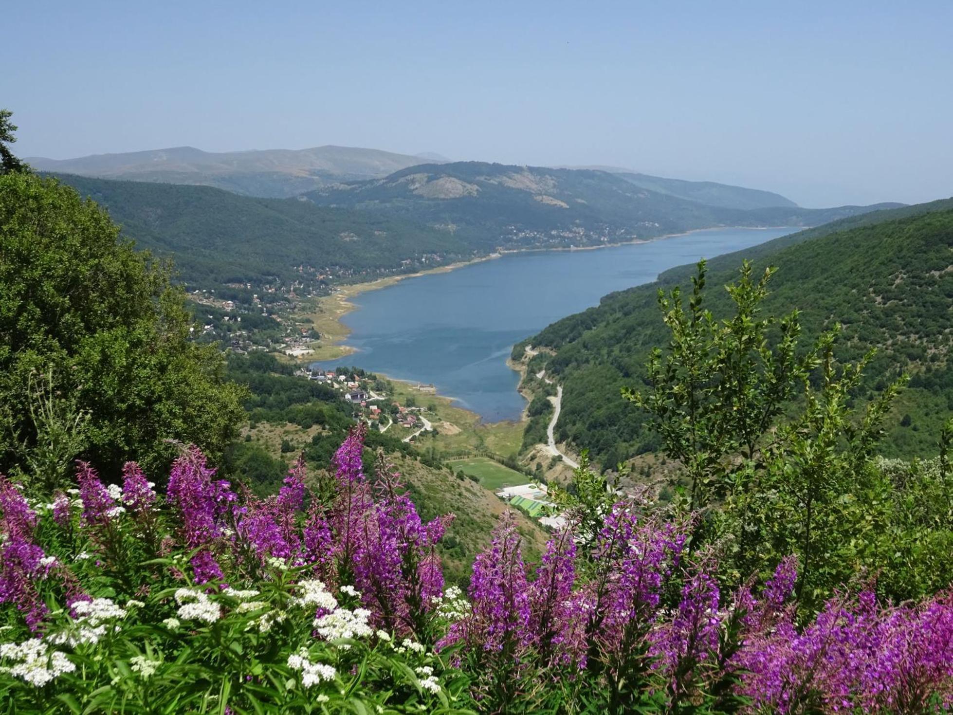 Forest View Apartment Mavrovo-Nationalpark Exterior foto