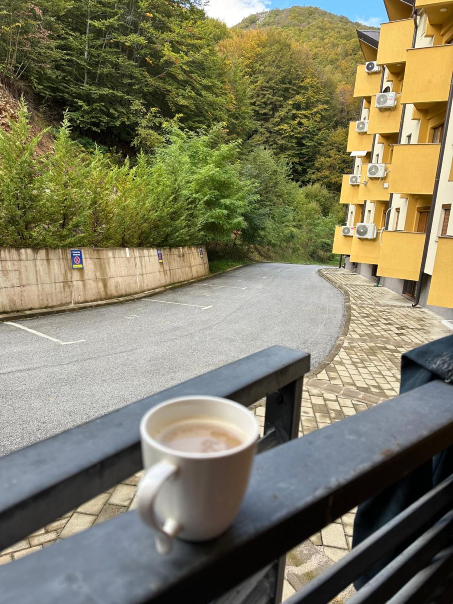 Forest View Apartment Mavrovo-Nationalpark Exterior foto